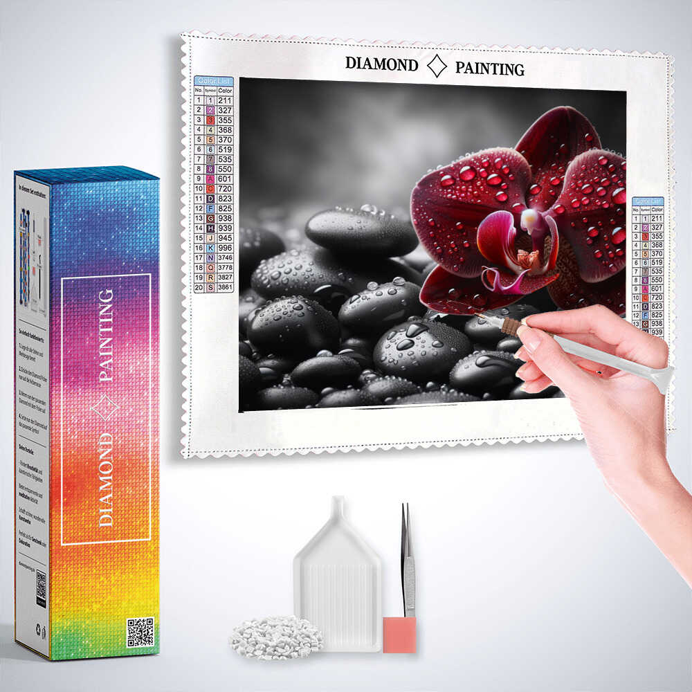 Diamond Painting - Bordeaux Orchidee