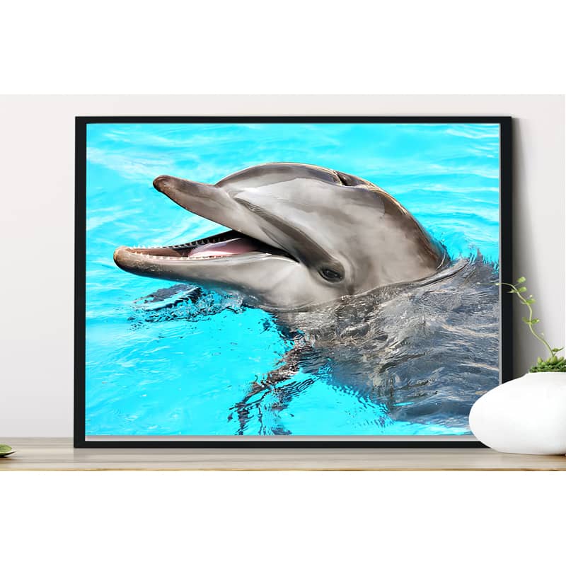 Diamond Painting - Delphin - gedruckt in Ultra-HD - delfin, tiere