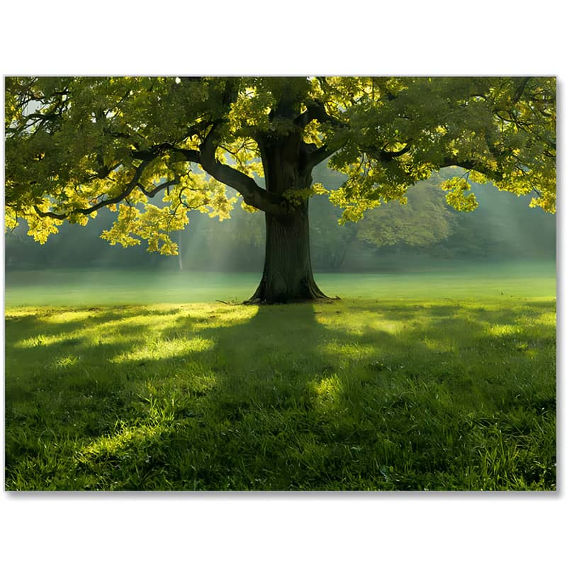 Diamond Painting - Prachtvolles Grün - gedruckt in Ultra-HD - bestseller, landschaft, wald